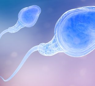 Hyperspermia Videos