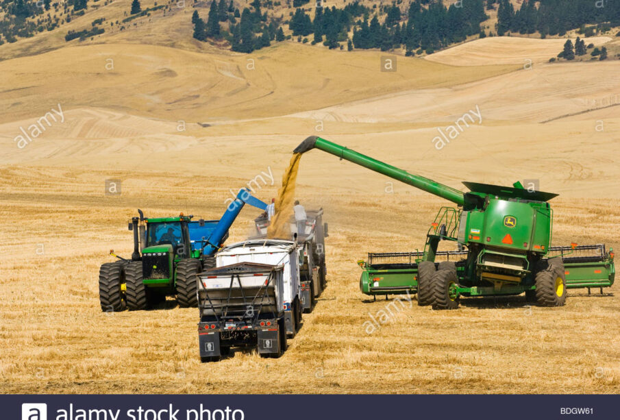 Grain Transport Different Options at Hand